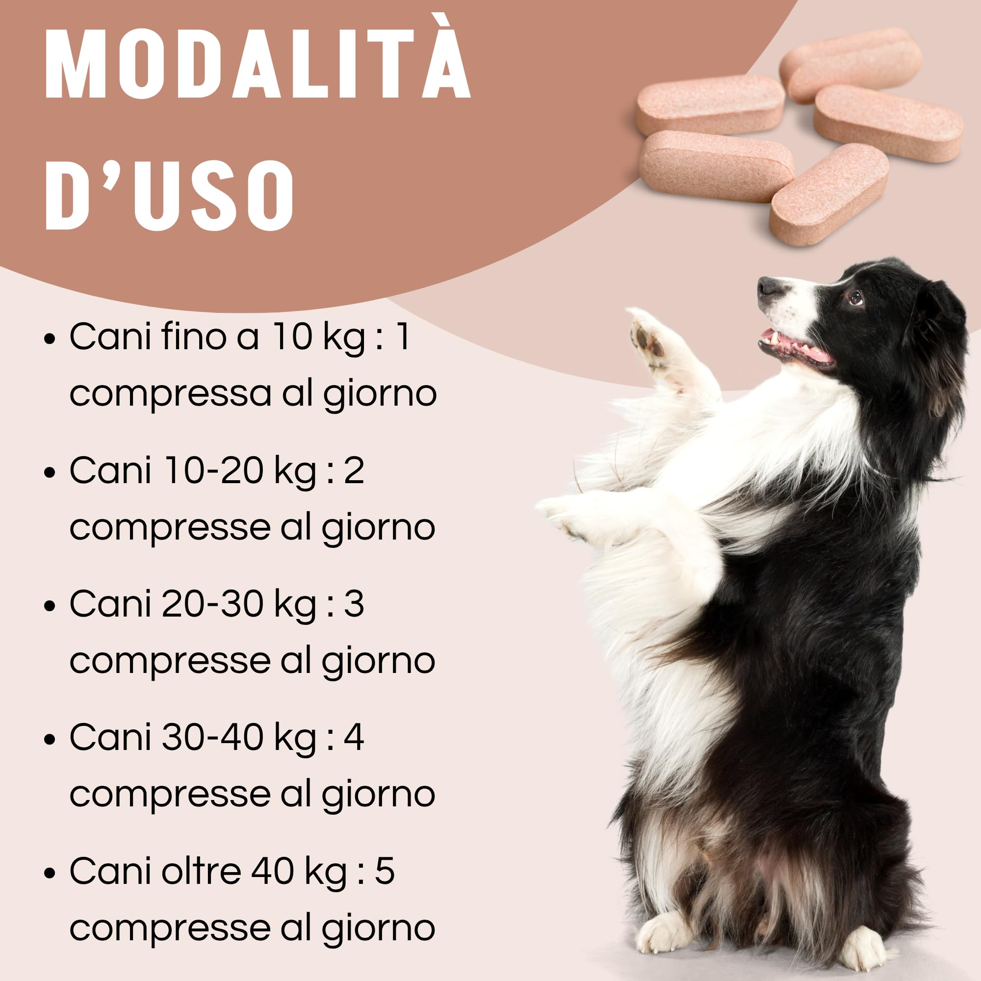 Motix Integratore Articolazioni Cane - Glucosamina, Condroitina e MSM - 100 Compresse 1000 mg - Adatto a Cani di Tutte le Taglie e Razze - Supporto per la Mobilità