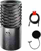ASTON MICROPHONES origin【ジャンク品】 Aston Microphones Origin Large-diaphragm Condenser