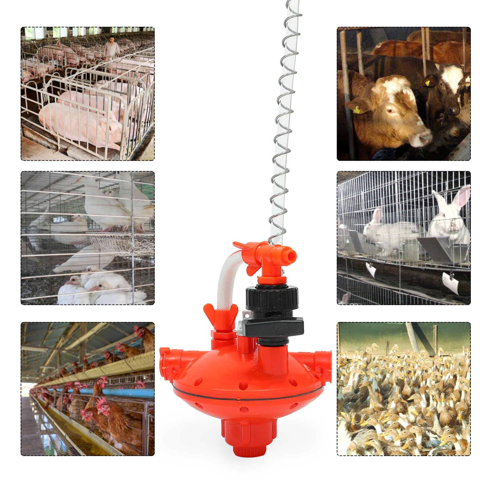 ifundom Válvula Reguladora de Presión para Bebedero de Gallinas, Plástico Resistente Función Anti-Fugas para Granjas de Pollos en Crianza