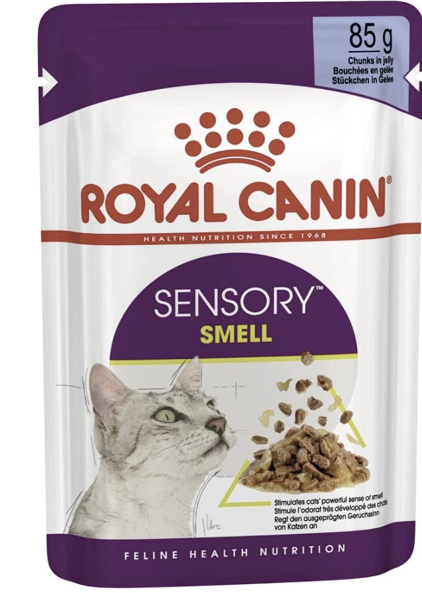 Royal Canin Sensory Smell in Jelly Wet Cat Food 85g (Pack of 48)