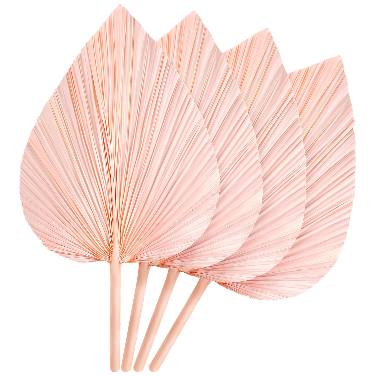 Chenkaiyang4 Pcs Large Pink Dried Palm Leaves Bulk,Boho Dried Palm Leaves Fans with Stem Natural,Tropical Palm Flowers Bouquet Wedding Decor for Vase Home, NKDY0K2327