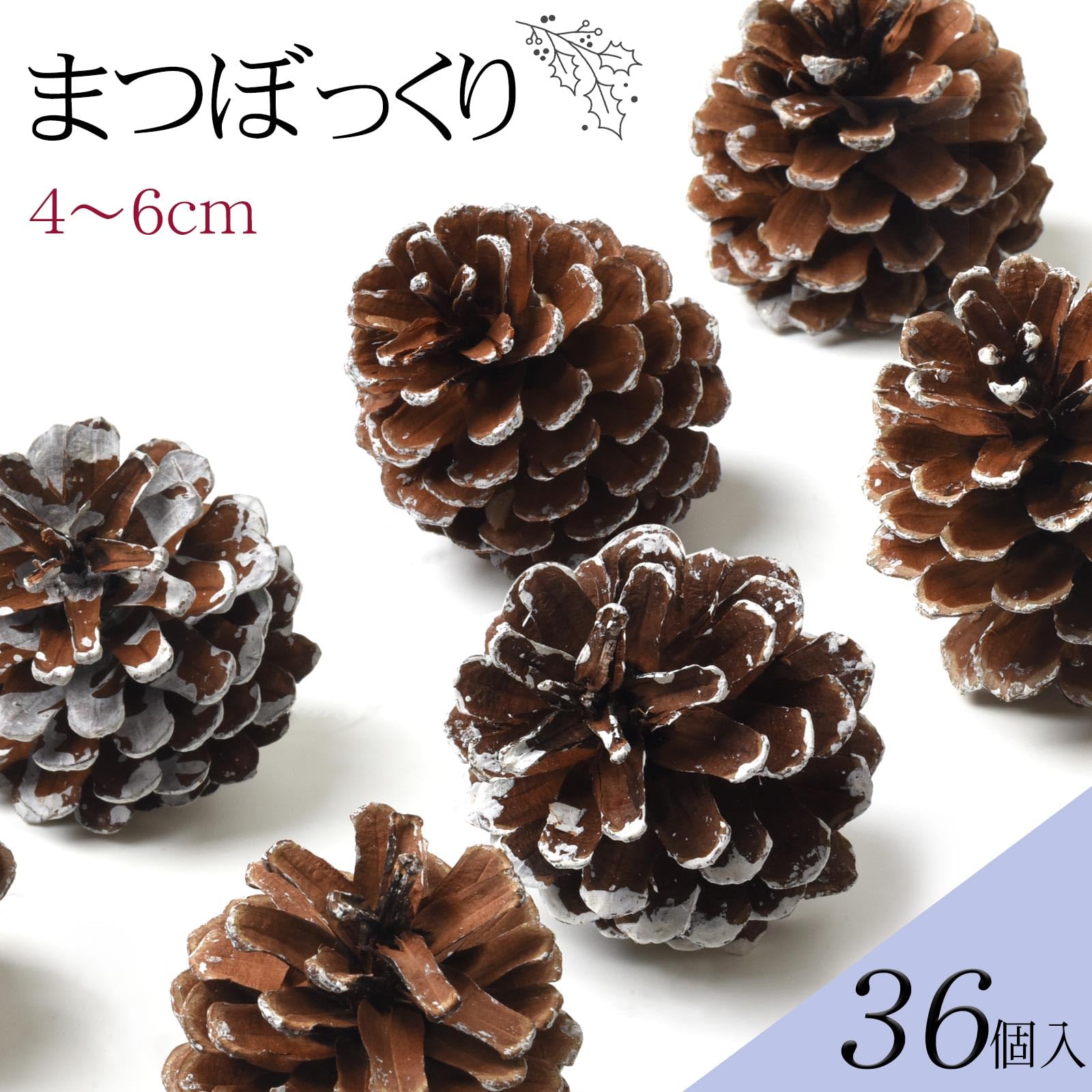 Amazon.co.jp: 松ぼっくり 約4〜6cm 天然素材 大容量 業務用