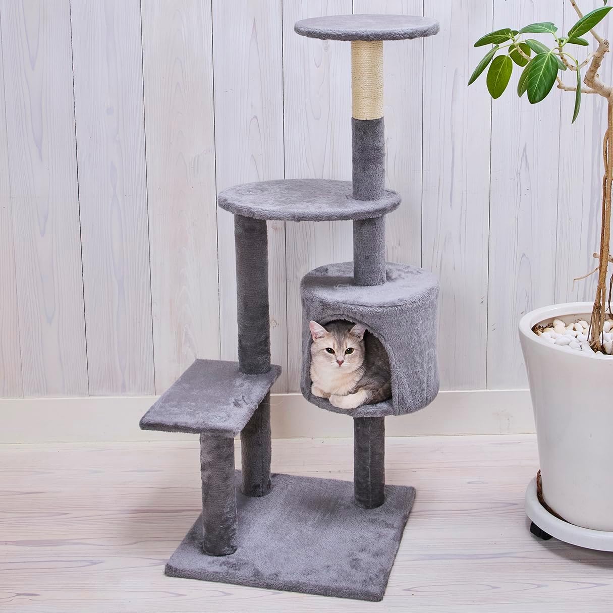 Amazon.co.jp: アドメイト (ADD. MATE) 猫用タワー ねこまど コテリア