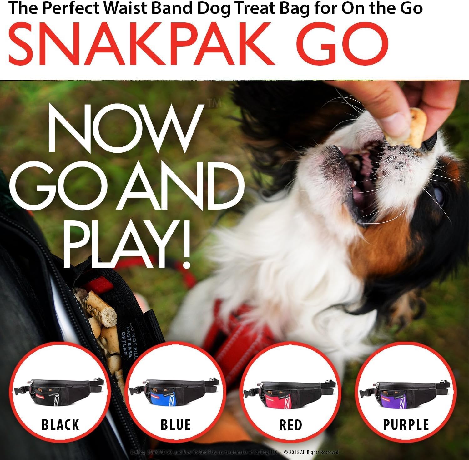 EzyDog SnakPak Go Wearable Dog Treat Bag - Easily Secures Around Waist and is Perfect for Running or Walking - Training Pouch Includes a Bag Storage/Dispenser for Clean-up (Black)