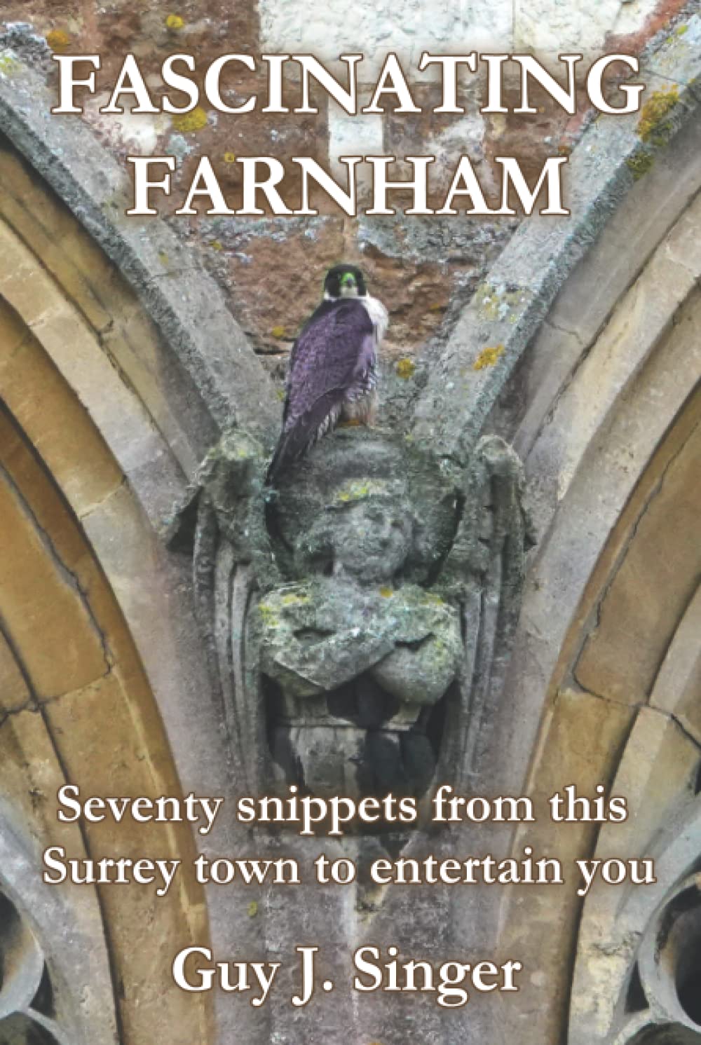 Fascinating Farnham
