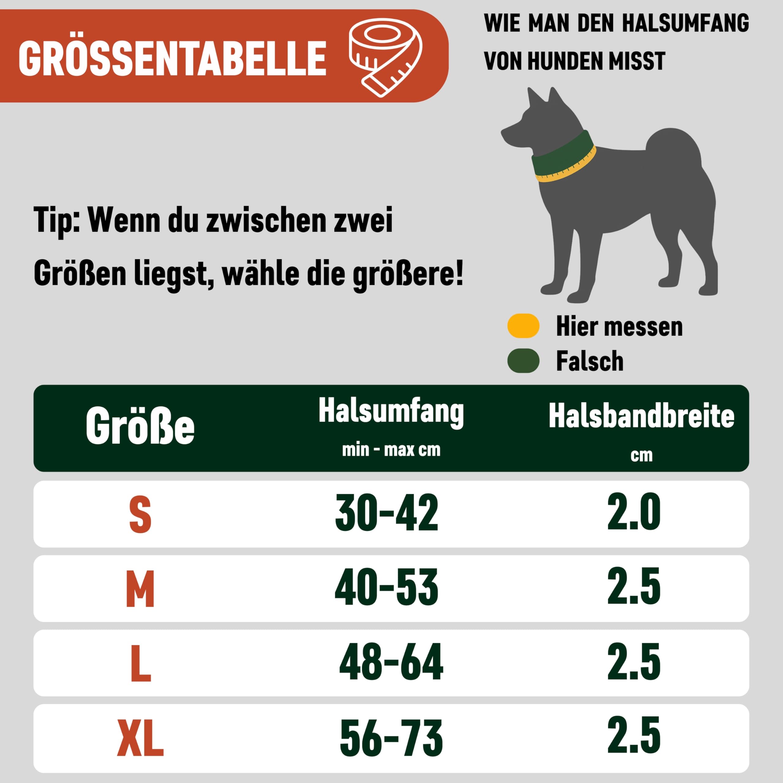 Nomadog Trailblazer Hundehalsband mit Griff für Große Hunde - Premium Aluminium Schnalle, Strapazierfähiges taktisches Halsband, Verstellbar, Gepolstert, Reflektierend (XL)
