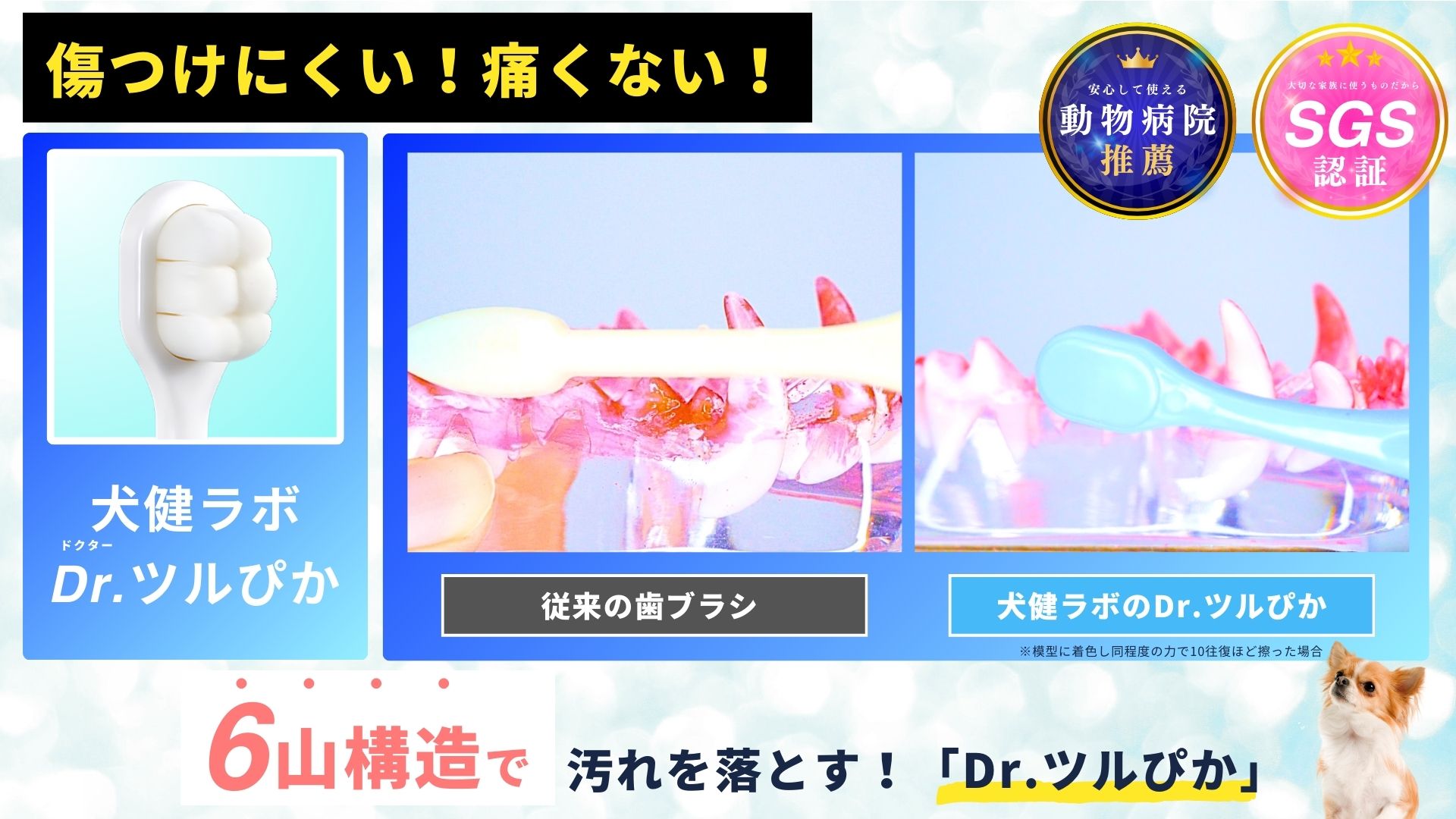 Amazon.co.jp: 【動物病院認定】 犬健ラボ 犬 歯ブラシ 小型犬 中型犬