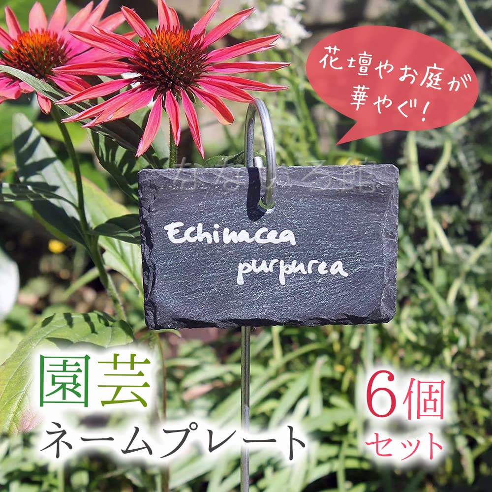 Amazon.co.jp: （なないろ館）園芸 ネームプレート 園芸ラベル 石の板