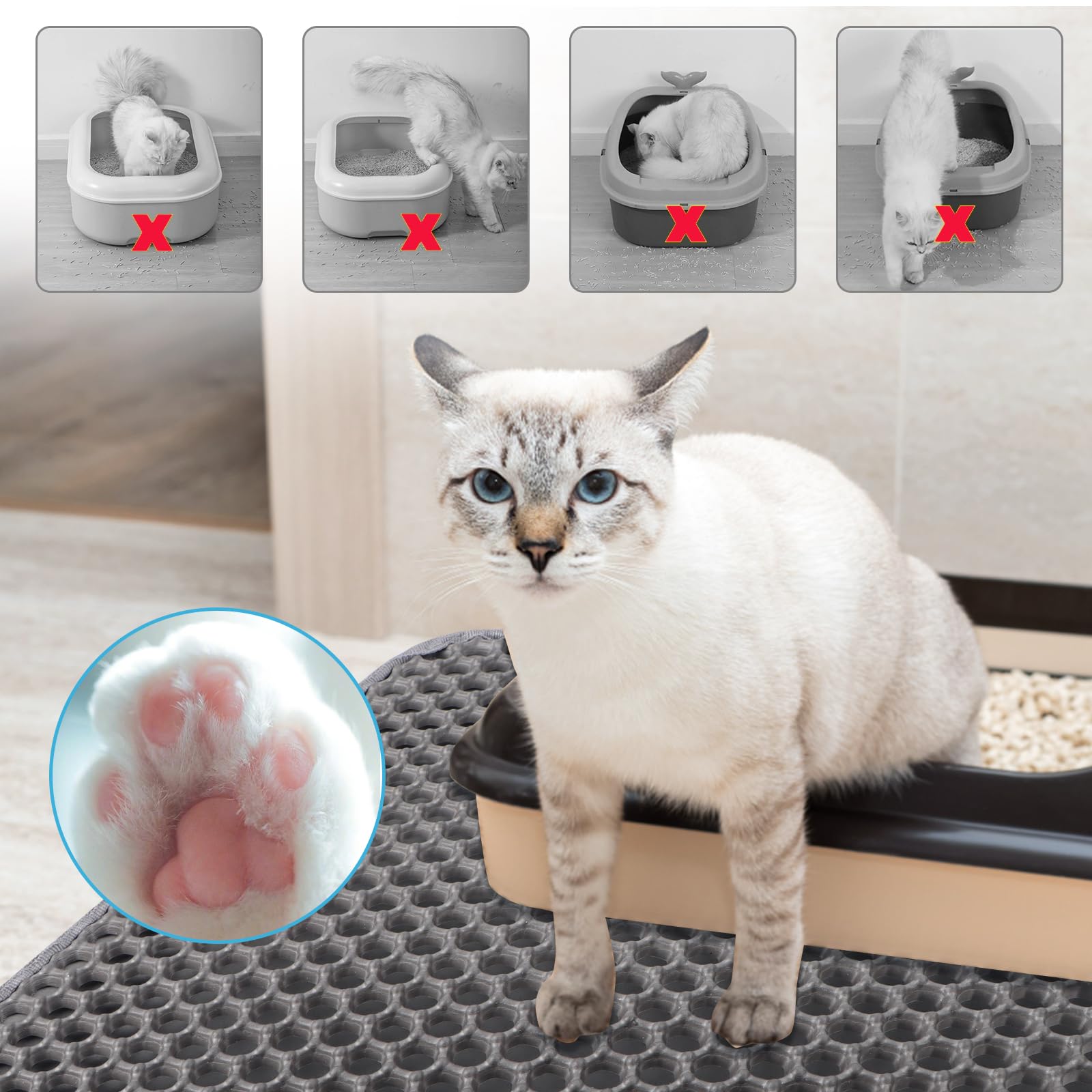 Premium Katzenklo Matte 60x45cm - Rutschfester Unterleger Mit Waben-Design