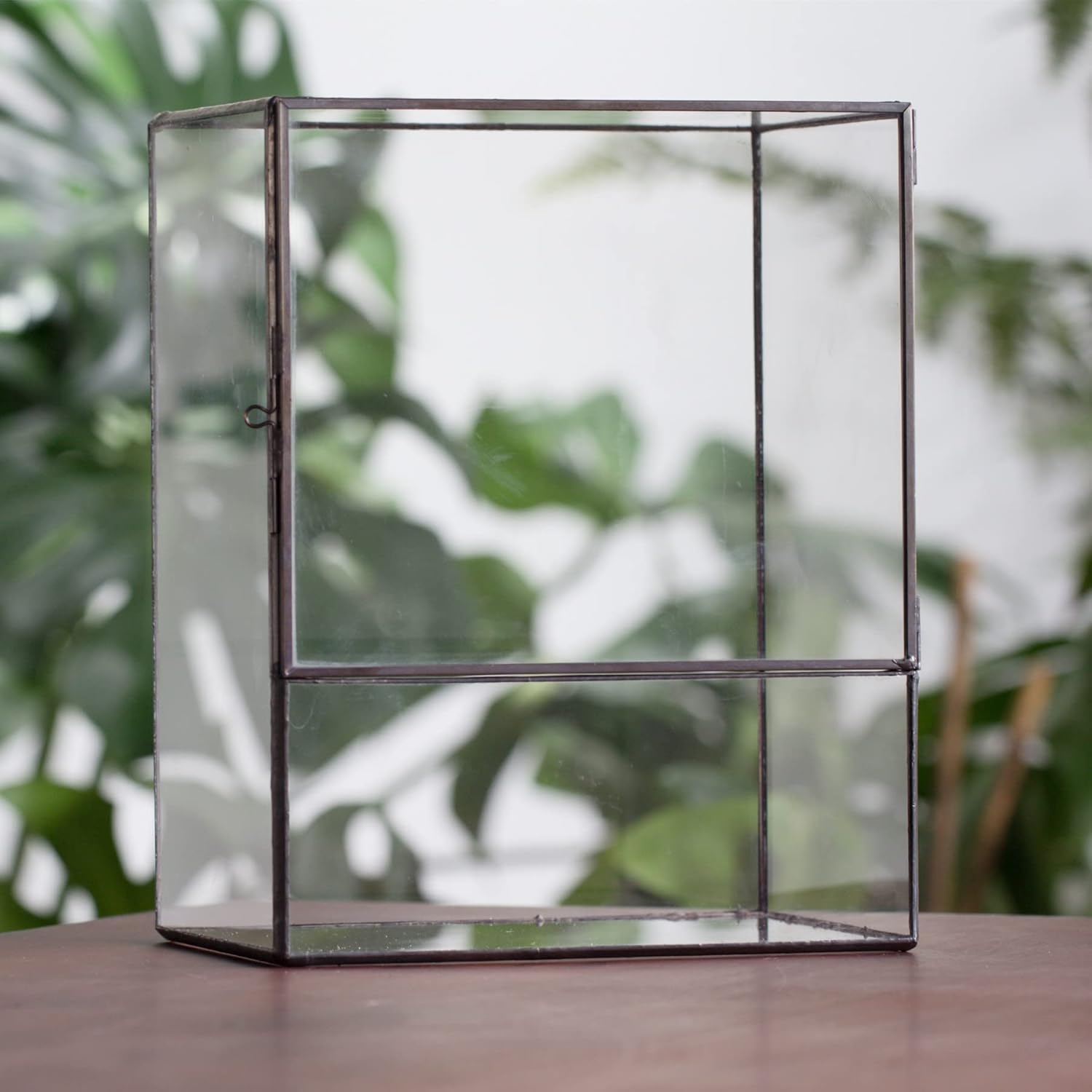 NCYP Close Glass Terrarium with Door - 7.8 x 5.1 x 9.8 Inches Geometric Landscape Clear Planter for Succulent Plants - Indoor Tabletop Centerpiece, Garden Decor (Terrarium Only)