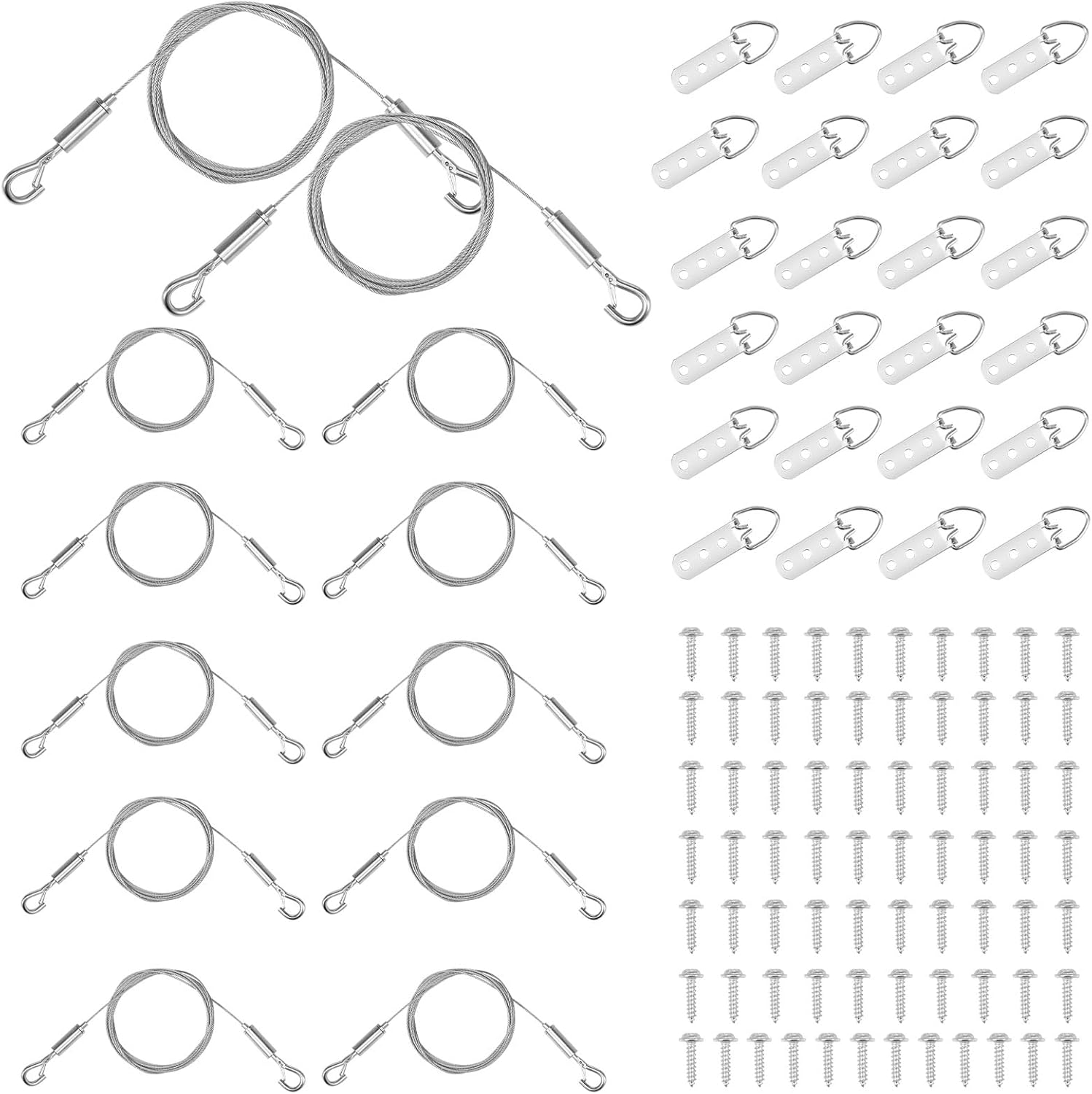 12 Pack Heavy Duty Picture Hanging Wire Kit, 6.56 FT Adjustable Stainless Steel Wire Rope with 24 D-Rings & 72 Screws, 44lbs Load Capacity Hanging Kit for Mirrors, Frames, Canvas Paintings