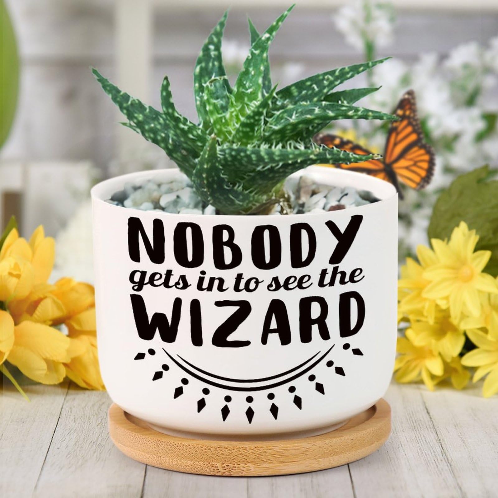 Nobody Gets in to See The Wizard Planter Ceramic Round Plant Pots with Drainage Holes and Bamboo Tray Planting Small Flower Pots for Home Windowsill Desk Garden Indoor Outdoor Use