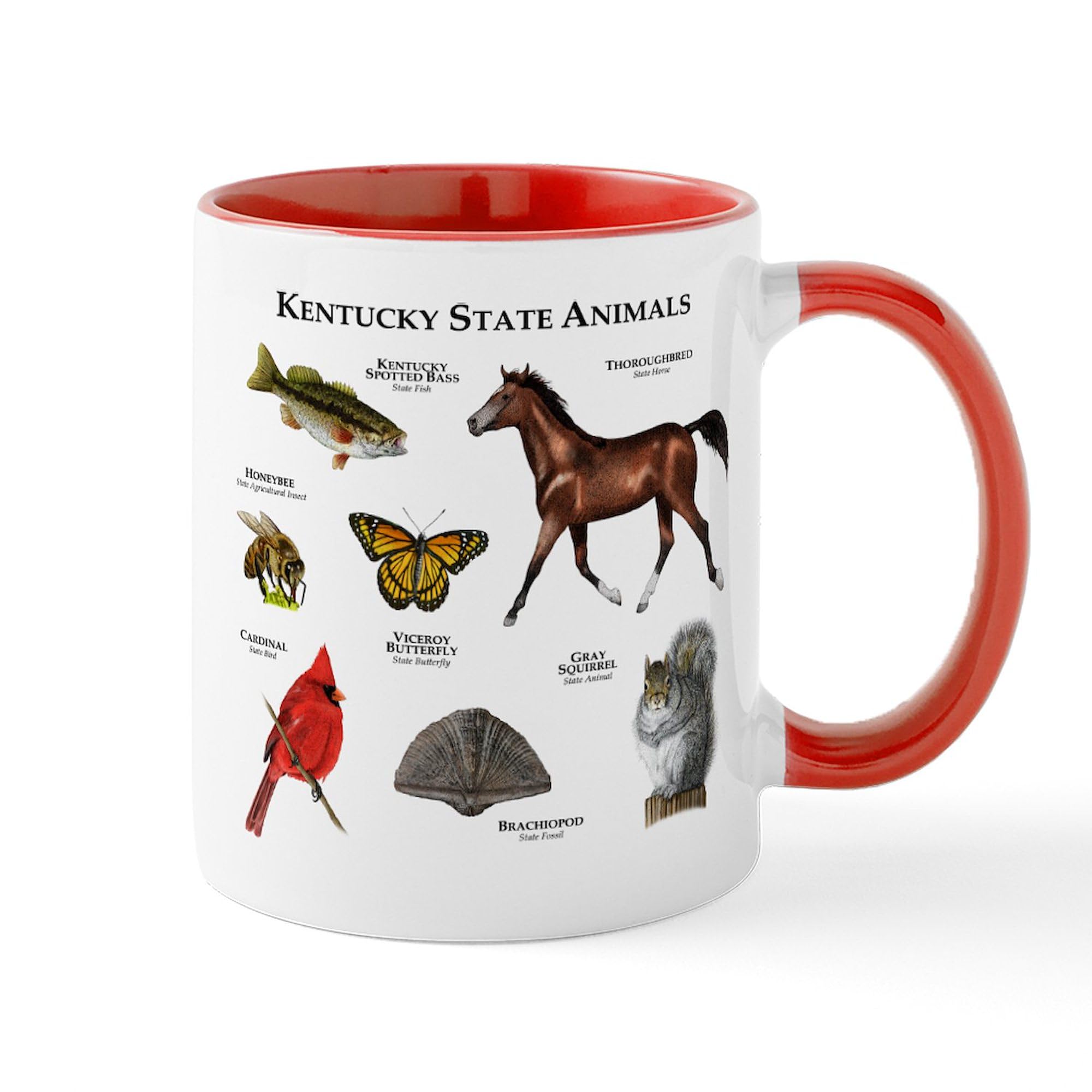 Kentucky State Animal Pictures