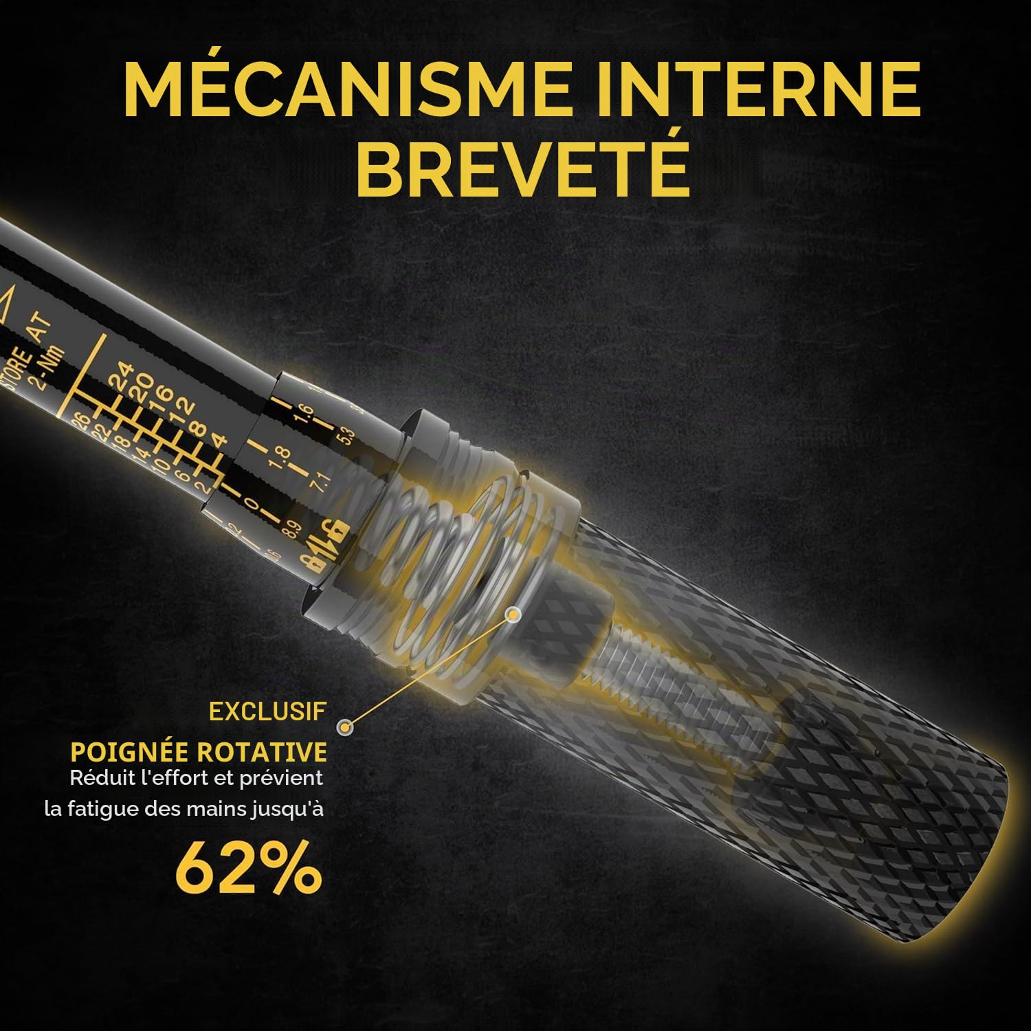 LEXIVON Cle Dynamometrique Velo 1/4, 2-26Nm CW (±4%) CCW (±6%), Clé Dynamométrique Moto, Embouts Torx, Barre d'Extension, Adaptateur Douille Inclus - Clef Dynamometrique (LX-191)