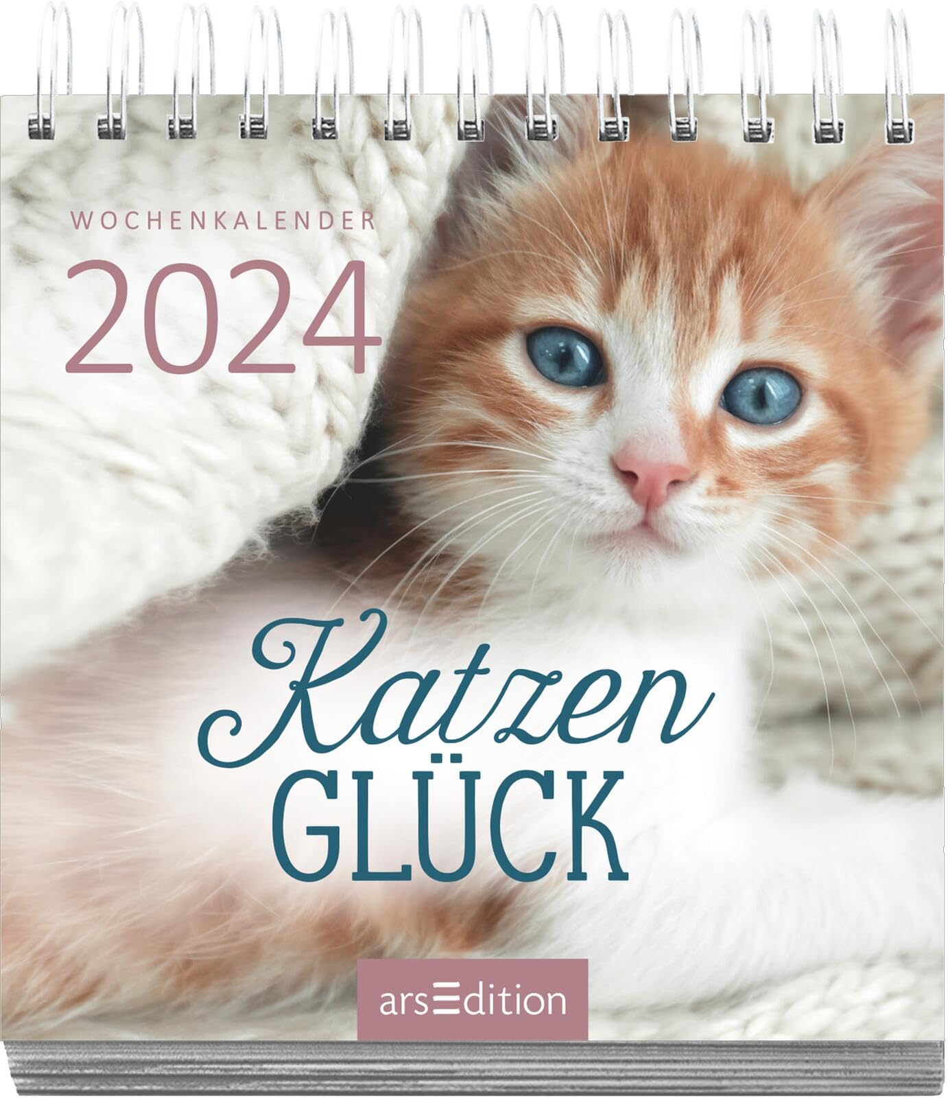 Display Mini-Wochenkalender 2024: Mit 10 x 5 Ex. | Kleine Tischkalender voller Inspirationen für jeden Tag
