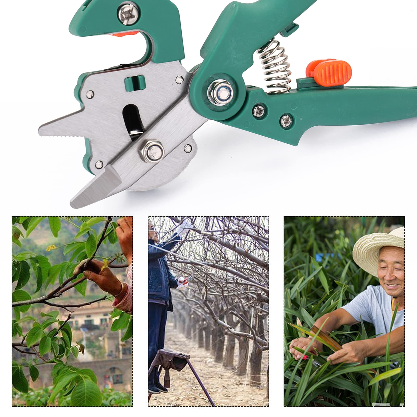 Kit di Utensili per innesto, Utensili per innesto di Alberi da frutto per Giardinaggio, Forbici per potatura di innesto per Rami di Piante, Incluso Nastro per innesto, co