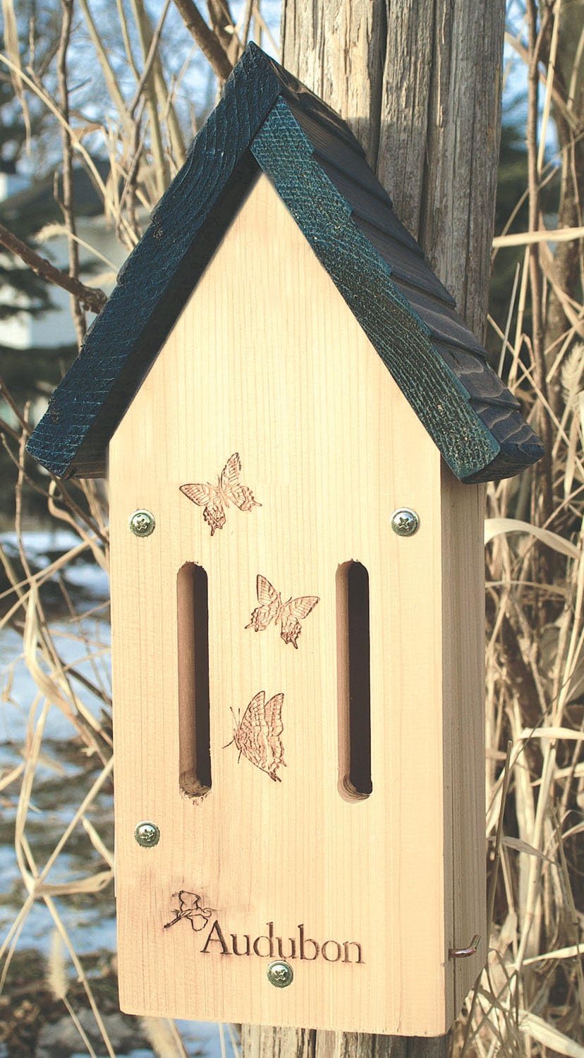 AUDUBON NABUTTERFLY Bird Feed, White