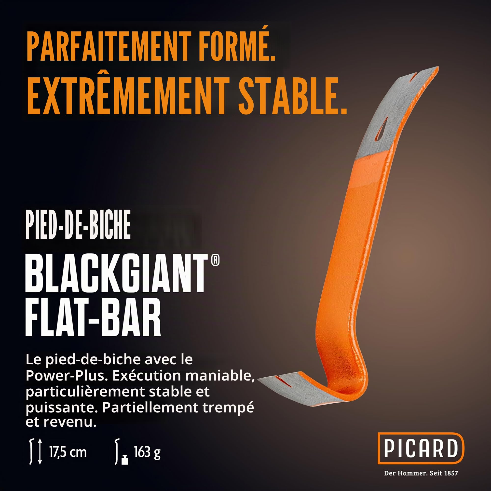 PICARD marteau de charpentier no. 298 + Mini pied-de-biche BlackGiant® + Sticker | Outil couvreur professionnel 600 g | Manche acier chromé-molybdène | Porte-clou magnétique | Avec arrache clou