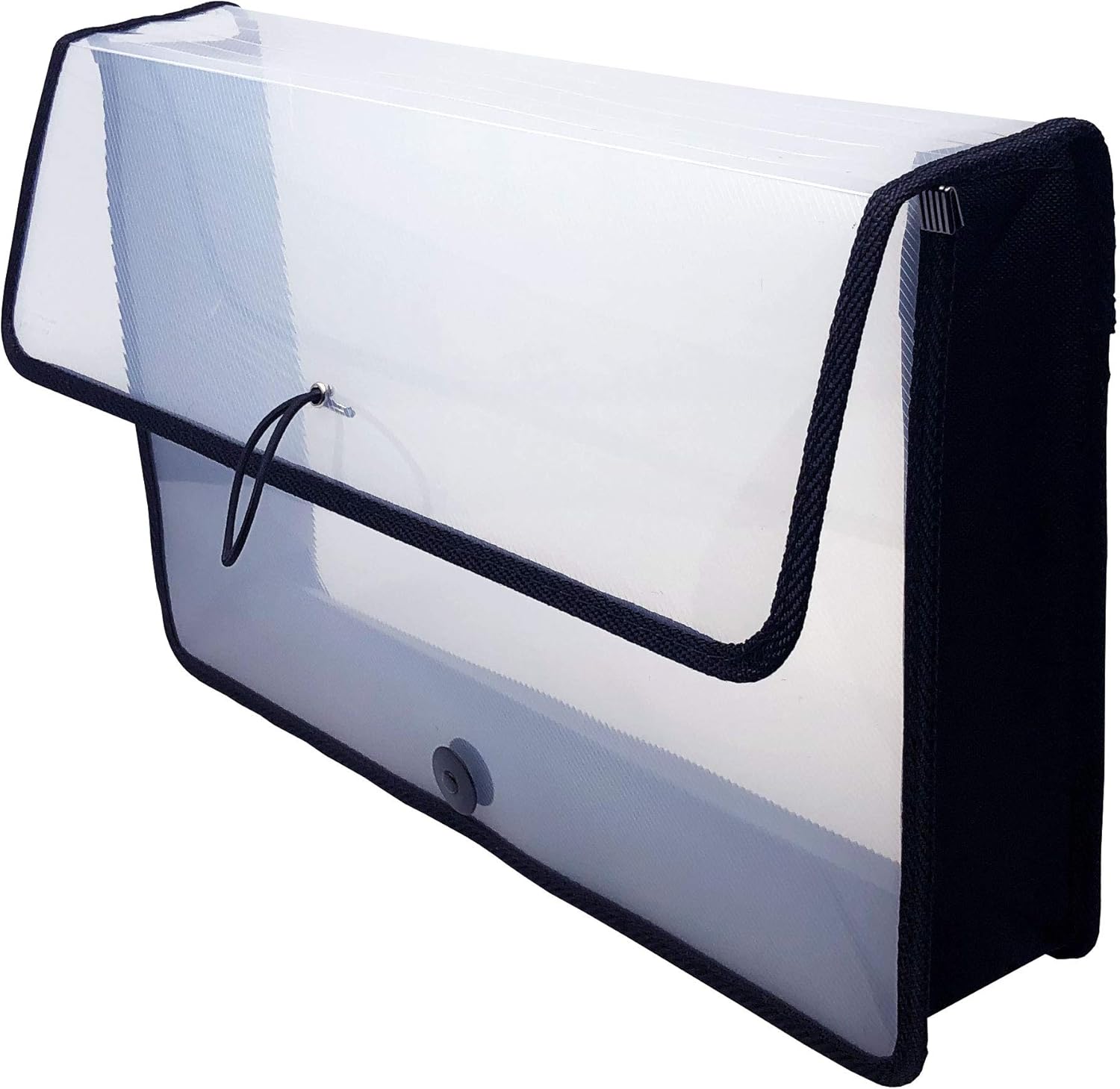 Lion Expand-N-File Poly Expanding Wallet, Letter (9-1/2 inch x 12 inch), 3 inch gusset, Transparent Blue, 1 Wallet (48160-BL) : Everything Else