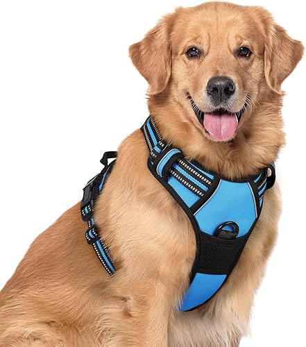 Rabbitgoo - Pechera para perro , pechera sin jalones para mascotas con 2 ganchos de correa, chaleco Oxford ajustable, acolchado, suave y reflectante