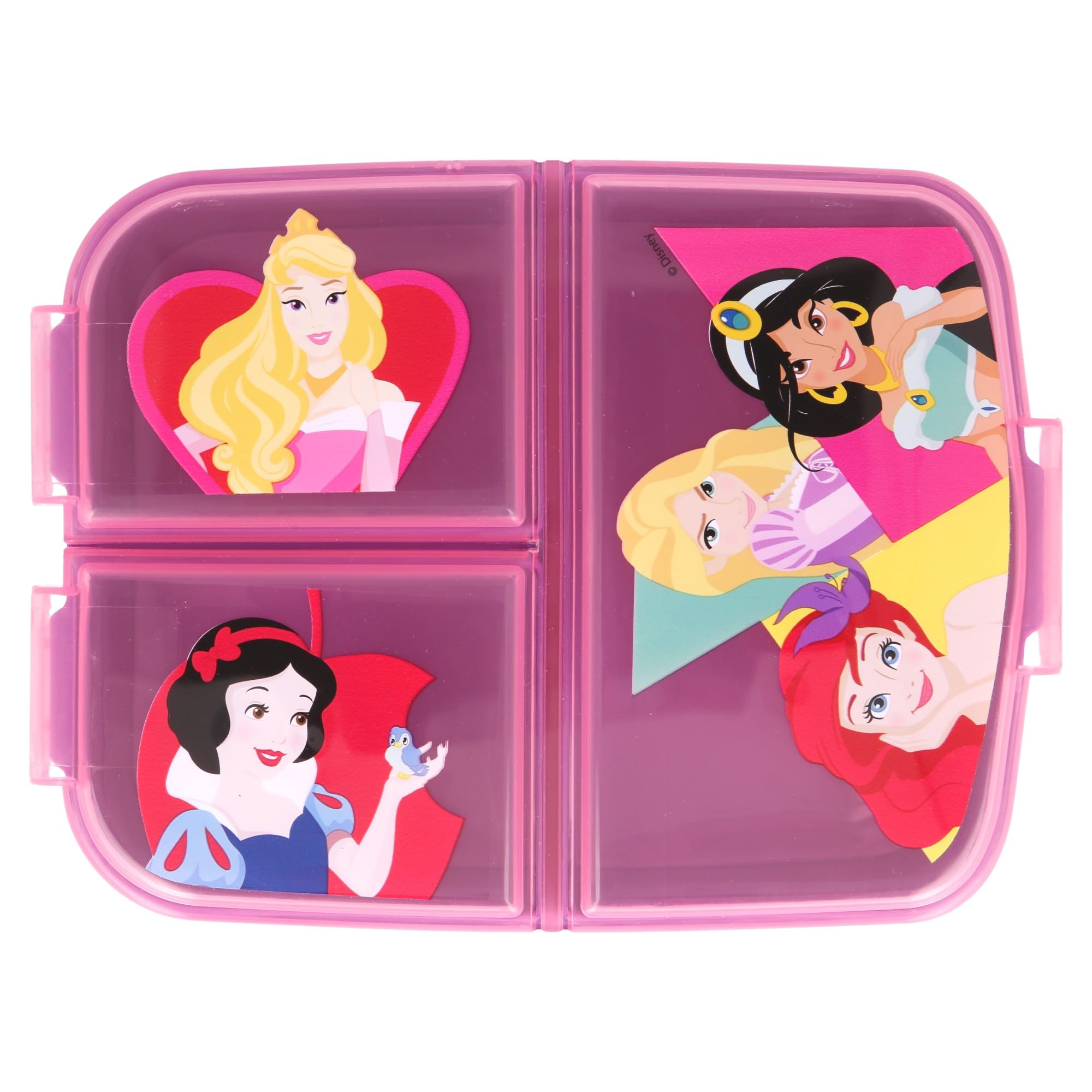 Stor Panini Disney Princess Brillante E Audace