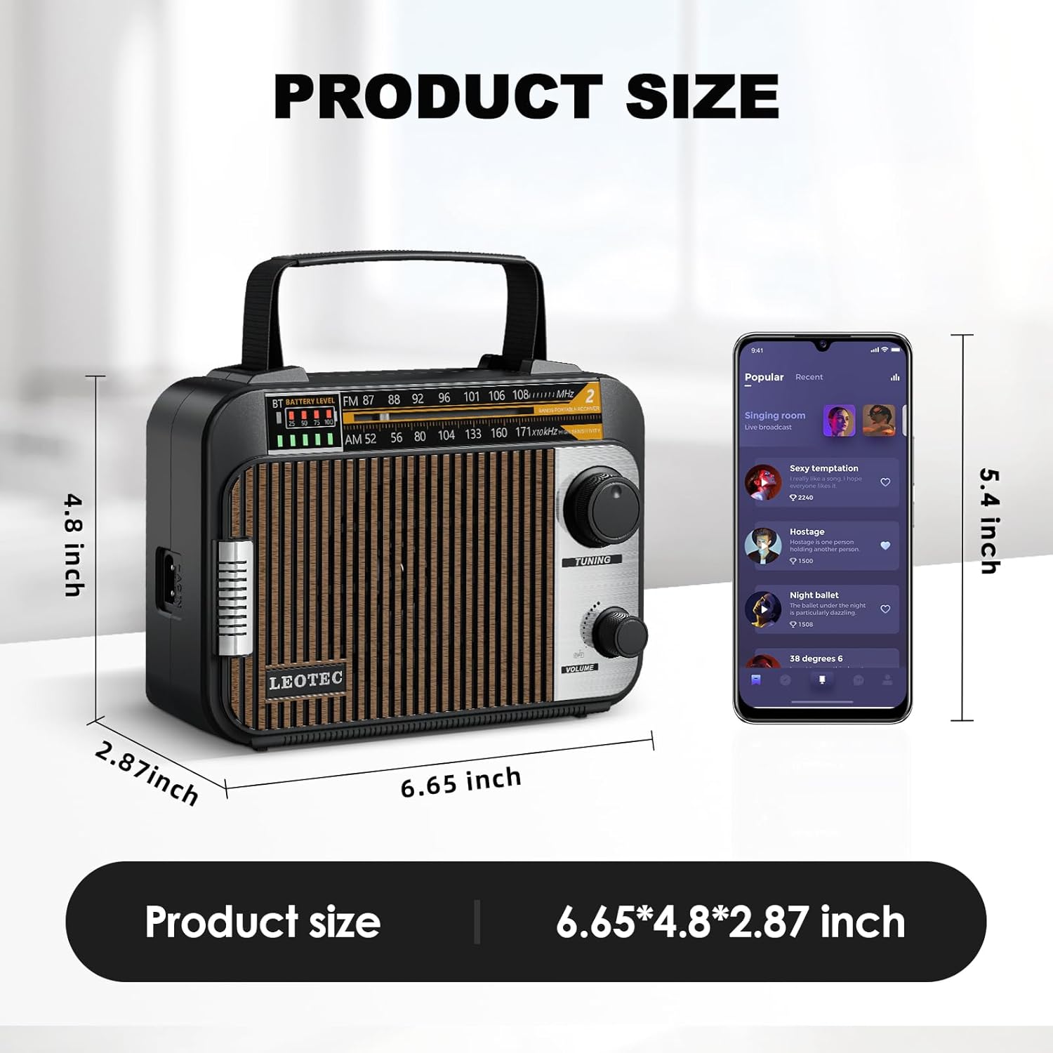 Diagram showing the product dimensions of the LEOTEC radio: 6.65 inches length, 4.8 inches height, 2.87 inches width.