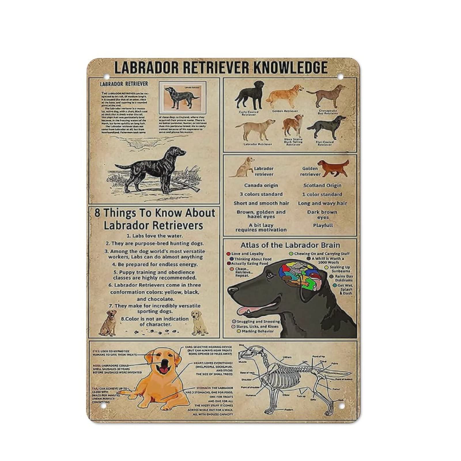 AOOEDM Labrador Retriever Knowledge Metal Sign for Home Coffee Garage Wall Decor Vintage Poster Bar Signs for Home Bar Retro Metal Tin Sign