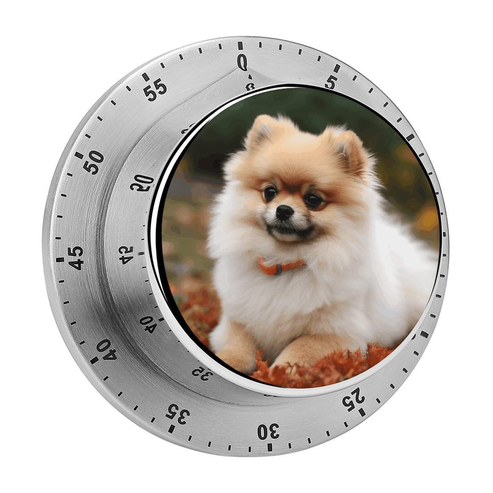 Short Haired Pomeranian Dog Timers Adsorbable Stainless Steel Kitchen Timer Loud 60 Minute Visual Timer Portable Manual Countdown Timers Alarm Clock Time Management Tool for Home Work