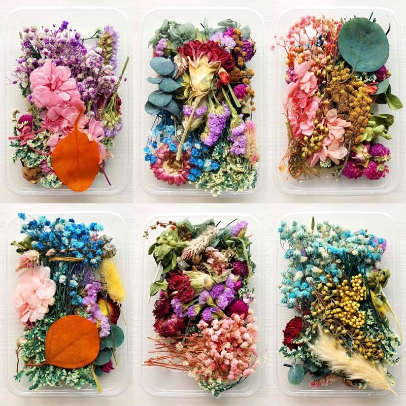 BRIGHTAIL INFRA Natural Real Dried Flowers for Art Craft Mixed Soap, Candle, Scrapbook, DIY, Resin Tray Jewellery, Pendant- [Random Box, Multicolour] (1)