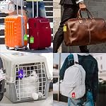 Étiquettes de bagages, 8 Étiquettes de sacs en silicone avec nom ID Cartes et boucles en acier inoxydable, Valises de couleur vive Nom de voyage Étiquette pour valises de voyage, 8 Couleurs
