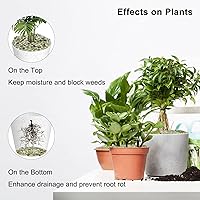 Vista 4 de GASPRO Guijarros de 2.5 libras para plantas de interior, guijarros decorativos de 3/8 pulgadas para bambú, jarrón, suculentas, superficie altamente