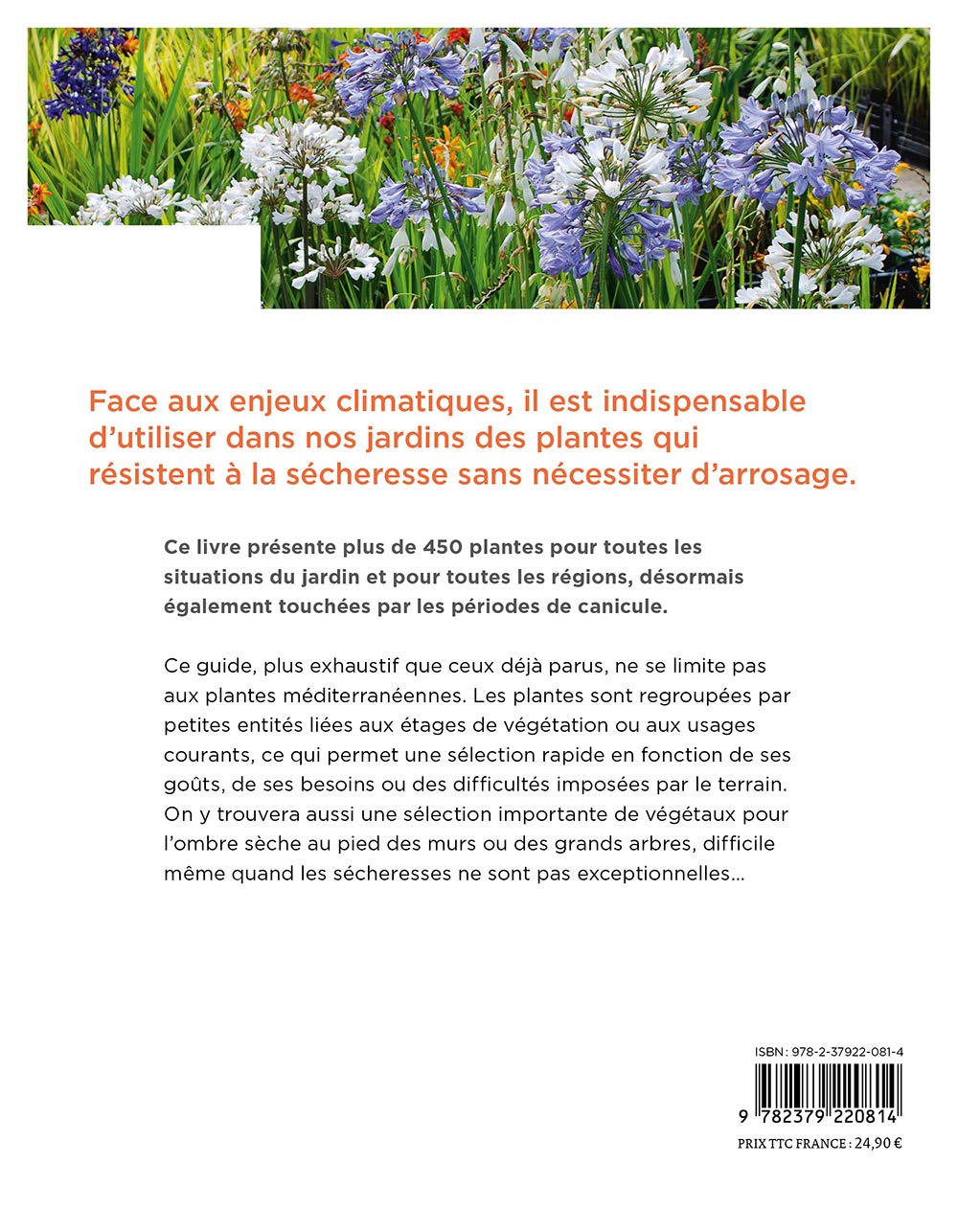 Toutes les plantes supportant la sécheresse