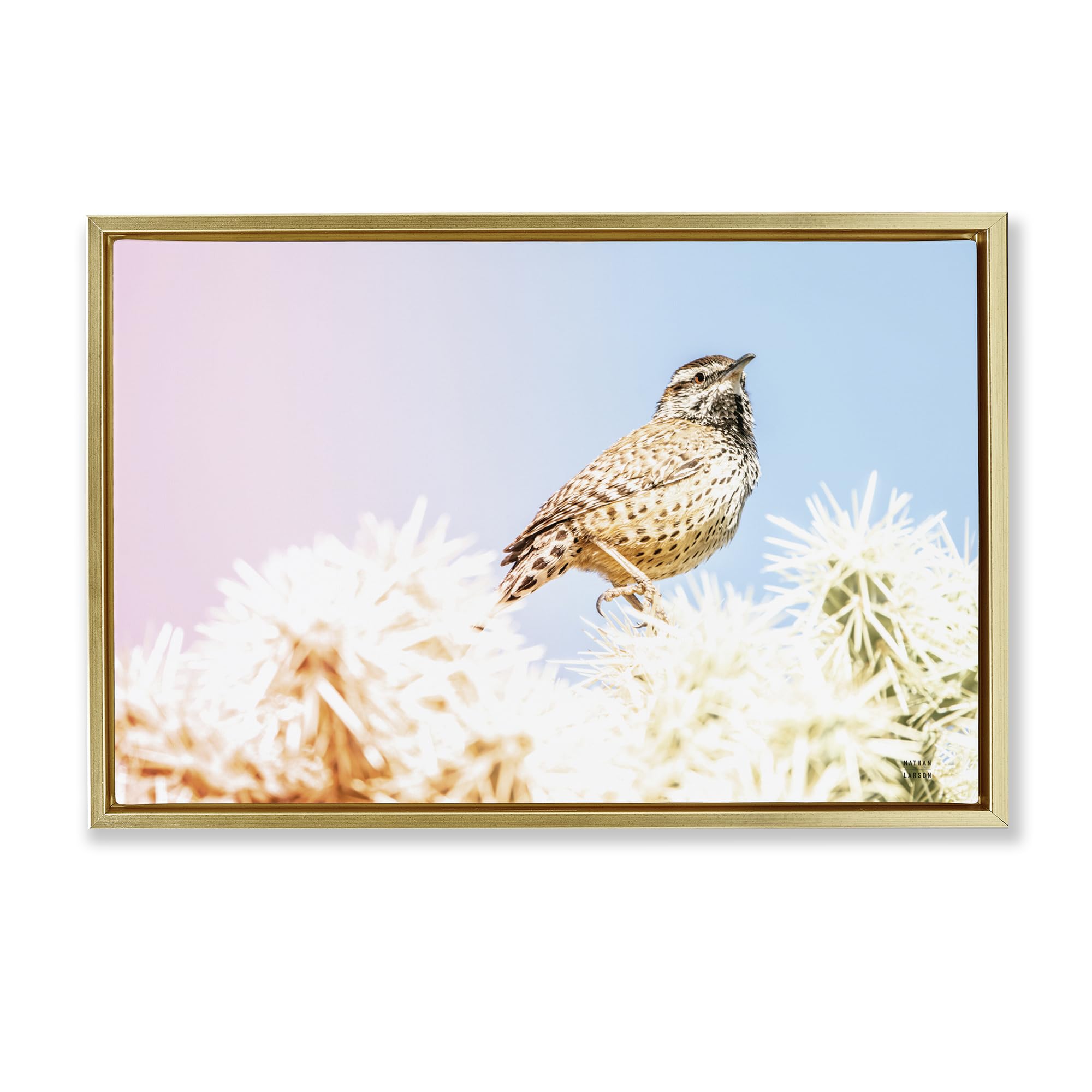 Stupell Industries 'Desert Song Bird', Floating Frame Canvas Art, Gold, 31 x 21