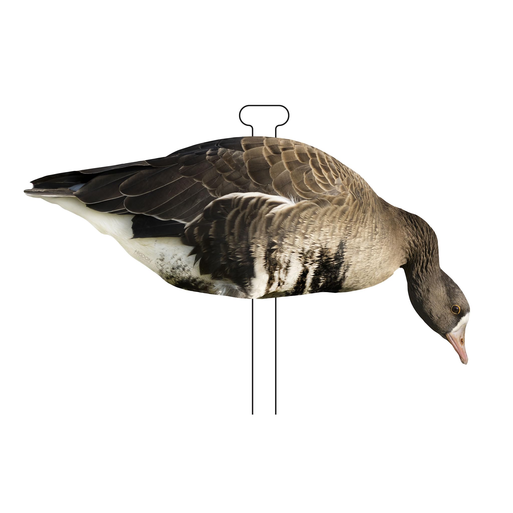 Higdon Outdoors Flats Specklebelly Standard Silhouette Waterfowl Decoy, 12-Pack