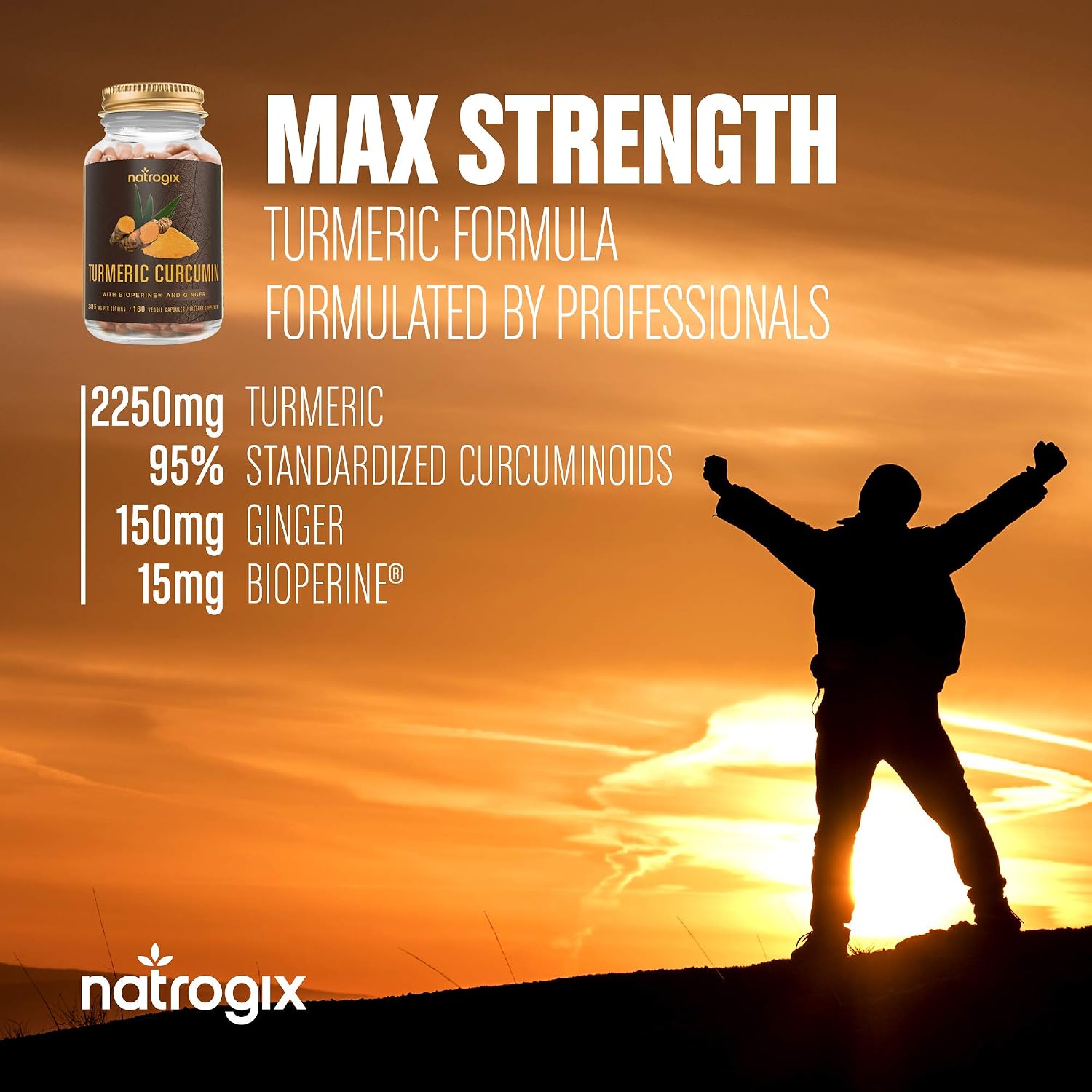 Turmeric Curcumin with Bioperine & Ginger 2415mg/Serving 180 VCaps by Natrogix - Best Vegan Joint Pain Relief, Anti-inflammatory, Antioxidant with 95% Standardized Curcuminoids Supplement/Free E-Book