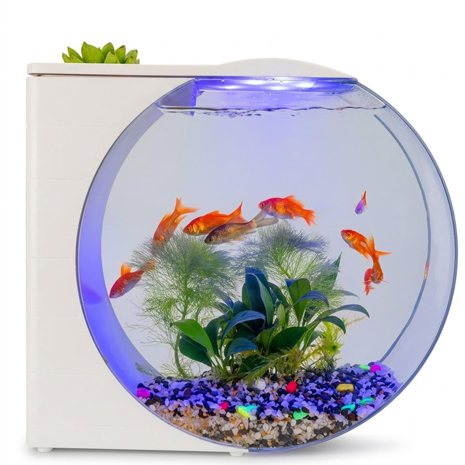 Acquario Piccolo per Pesci Betta, Guppy e Meduse con Pompa USB