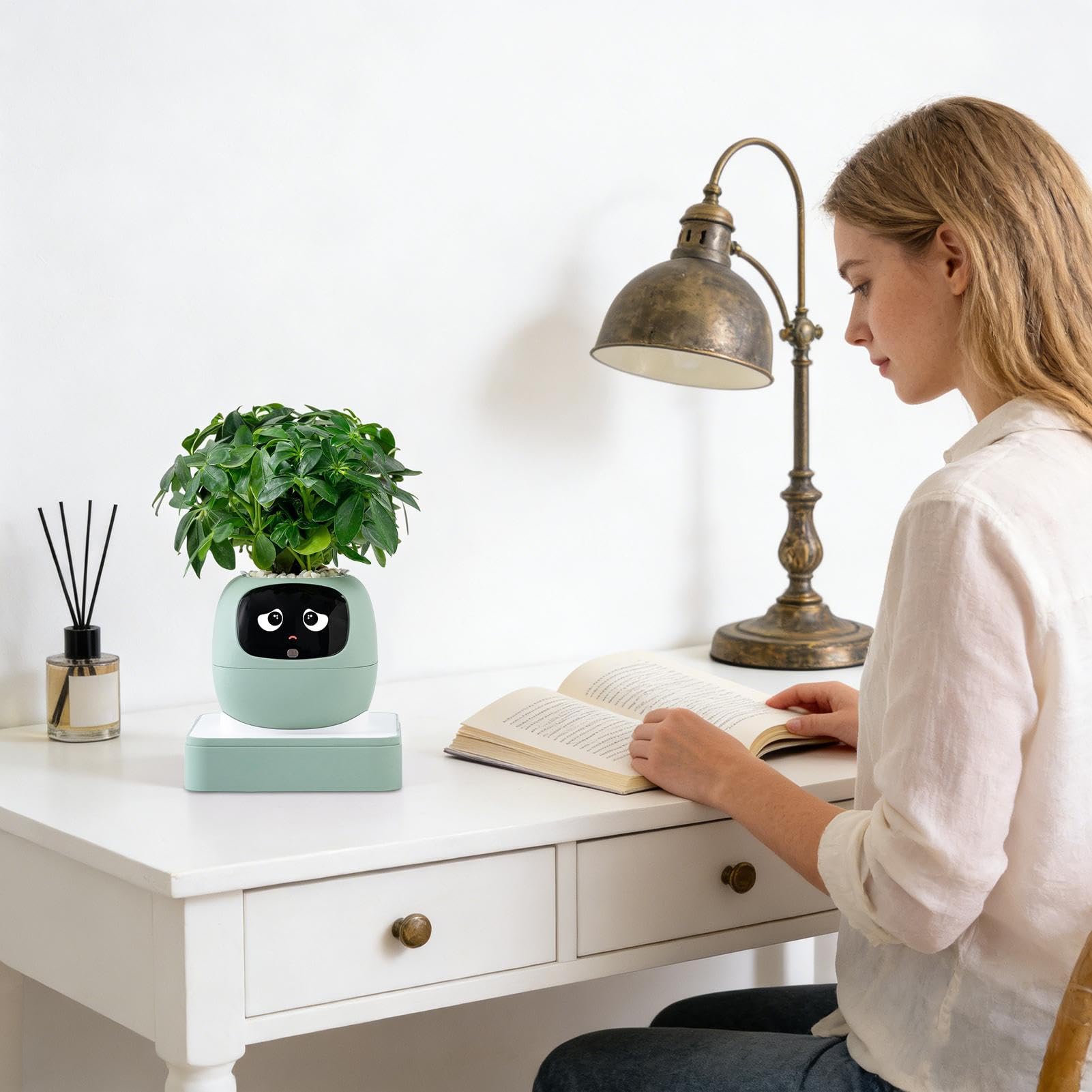 Vaso Intelligente Per Piante Guida Alla Cura Delle Piante Con Multiple