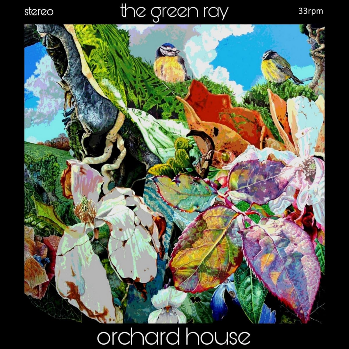GREEN RAY, The - Orchard House - Vinyl (LP)
