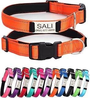Rising paw Personalized Adjustable Engraved Nameplate ID Tag Dog Collarsï¼ŒLaser Engraved Slide On Nameplate,Custom Reflective Padded Quick Release Dog Collar for Large,Medium,Small Dogs