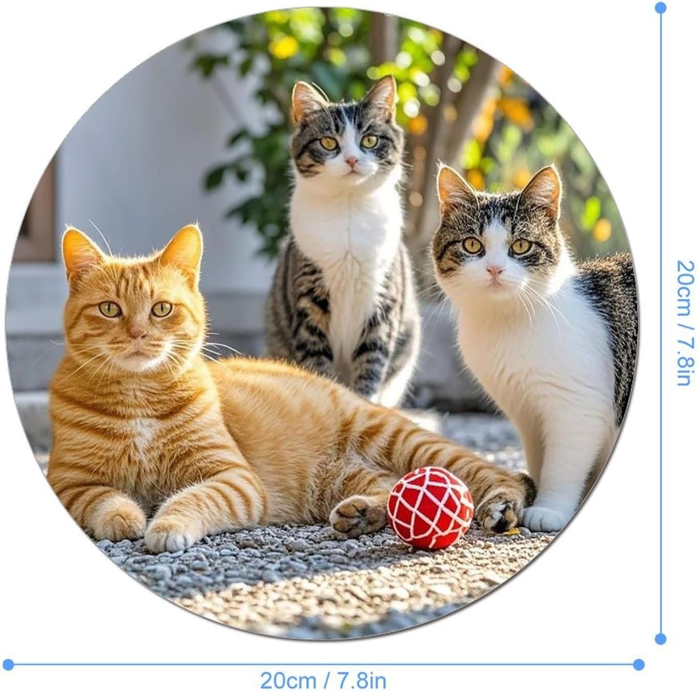 Cats Kitten Mouse Pad with Non-Slip Rubber Base for Office Home image 2