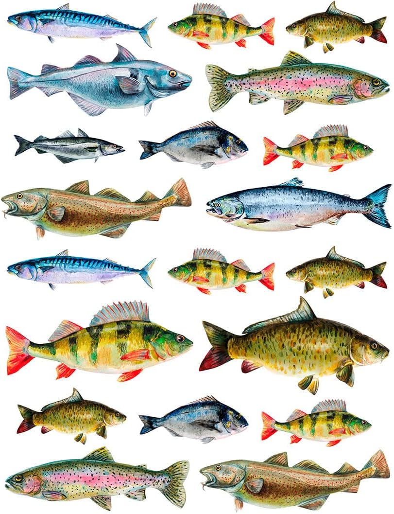 Ceramic Decals - Overglaze - Enamel Decal - Lake Fish