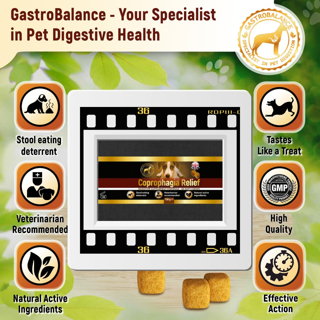 GastroBalance coprophagia stool eating deterrent- 60 coprophagia soft chews for your dog (Bacon flavour), natural - Image 2