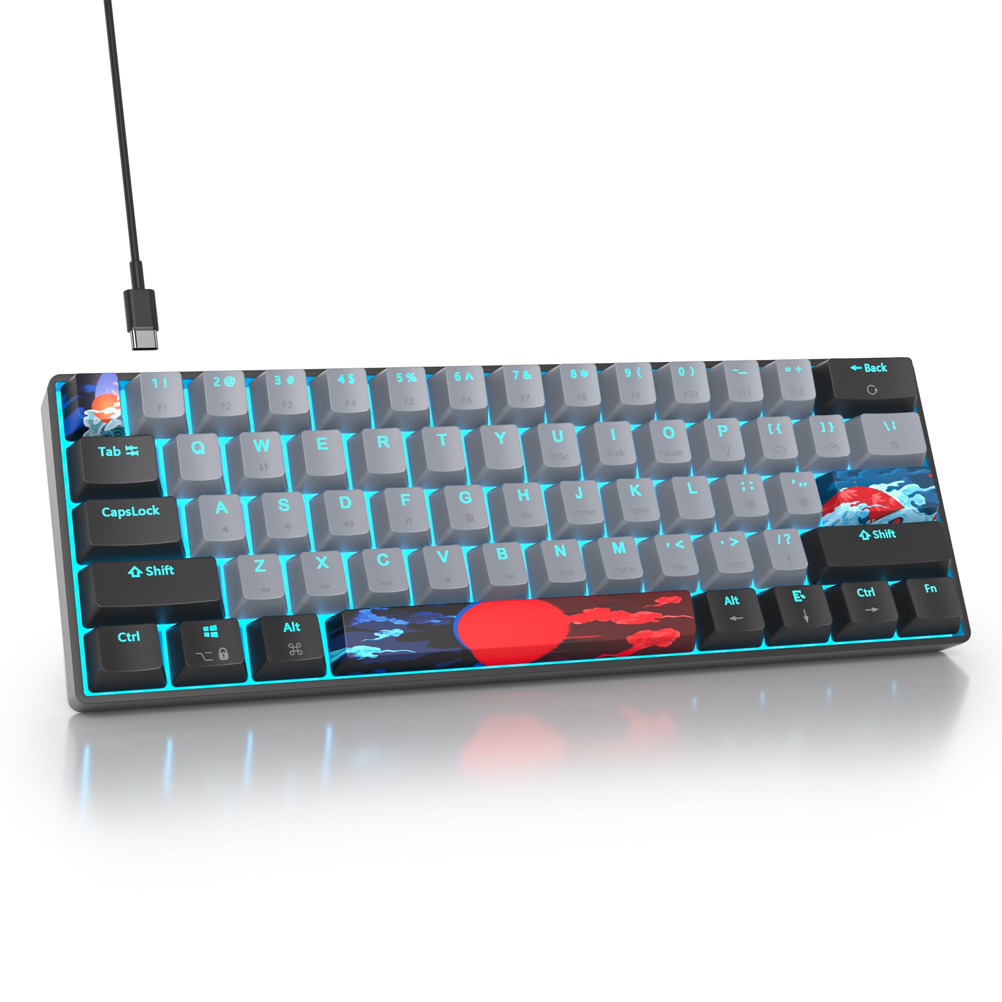 SOLIDEE Draagbaar 60% Mechanisch Gaming Toetsenbord,61 Toetsen Compact RGB LED Verlicht Bedraad Toetsenbord met Afneembare USB Type-C Kabel,Lineaire Rode Schakelaar voor Windows PC Mac(61 White