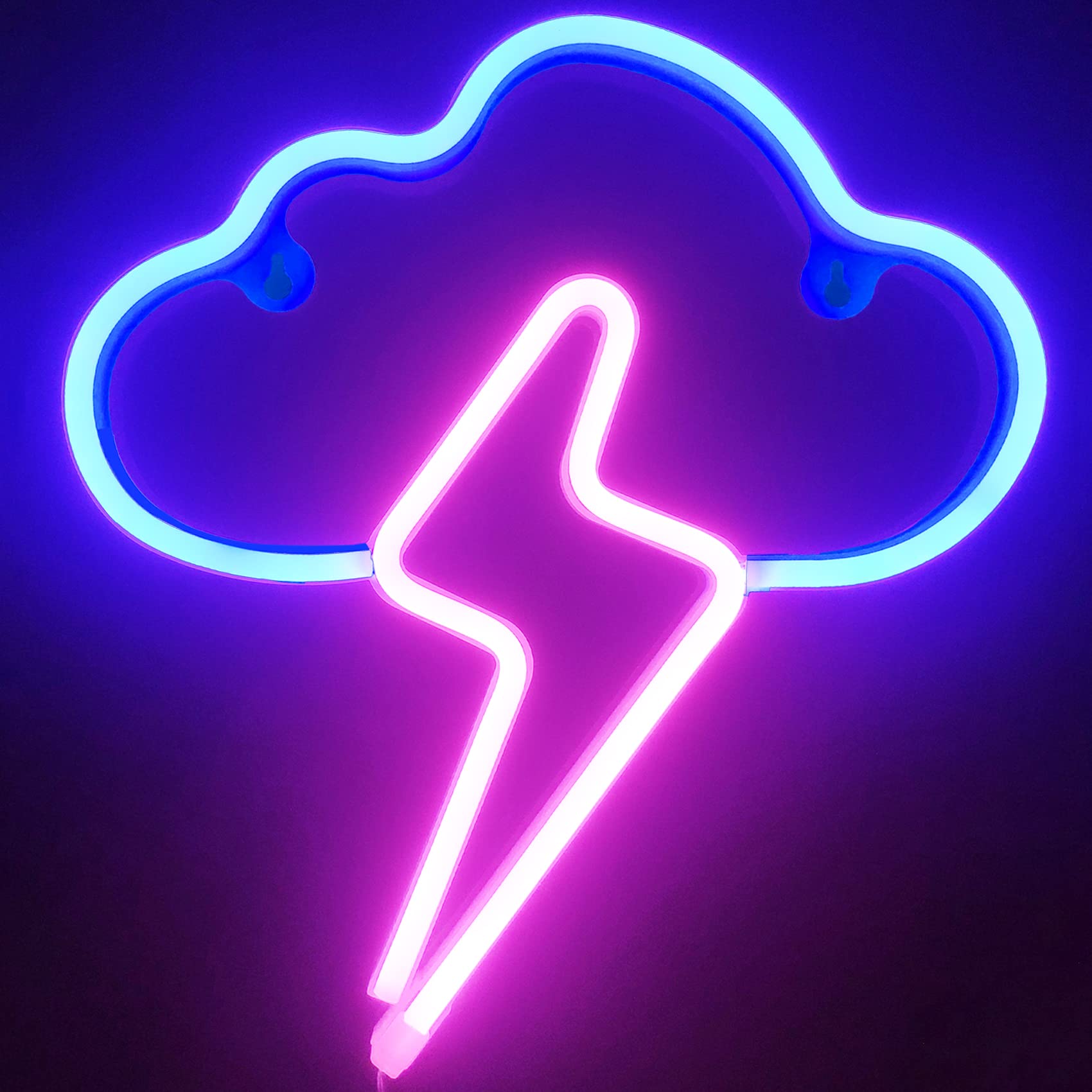 Buy Werfeito Neon Signs Cloud and Lightning Led Neon Light, Battery or