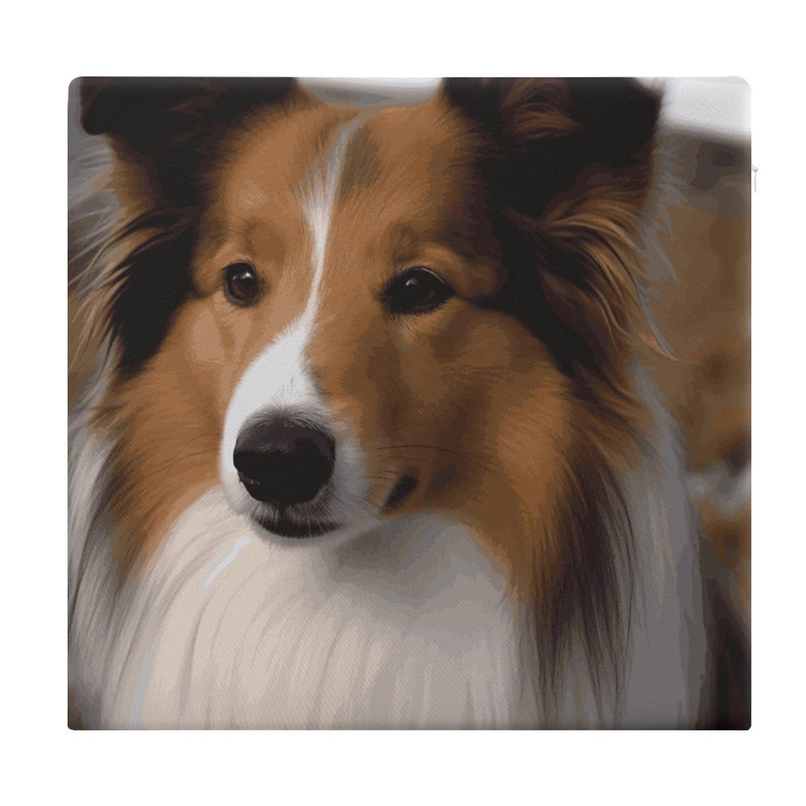 Cojín de espuma viscoelástica Shetland Sheepdog cuadrado para sillas de comedor y oficina