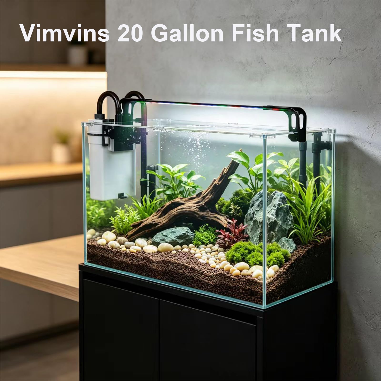 Vimvins Petit aquarium en verre de 20 gallons, kit de démarrage pour aquarium Betta avec filtre, lumières.