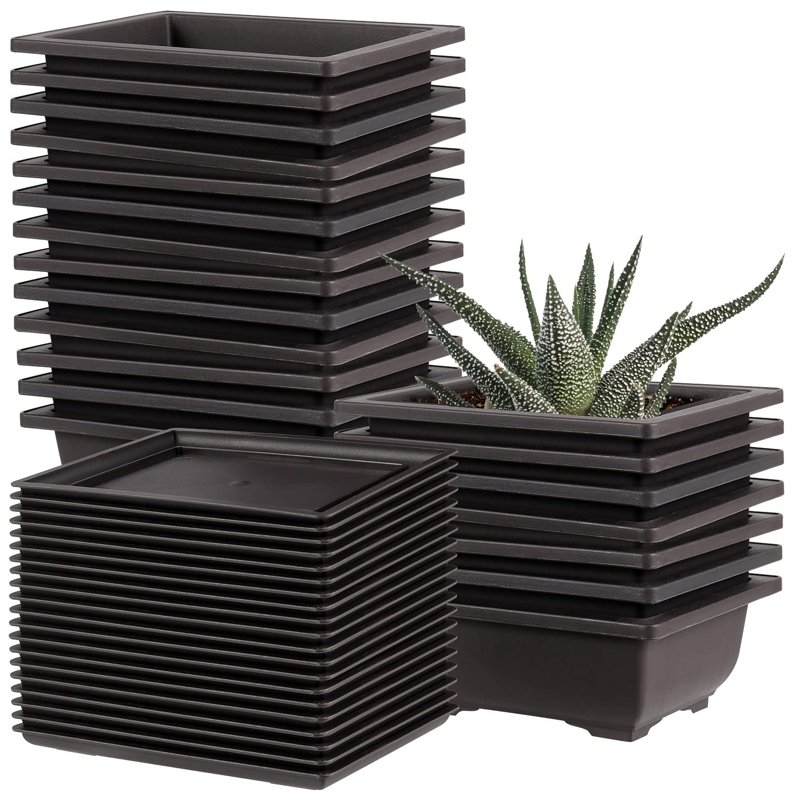 WONGWAI Lot de 20 pots rectangulaires en plastique pour bonsaï - 16,5 cm - Avec bacs d'humidité - Pour balcon, cour, patio, jardin, noir