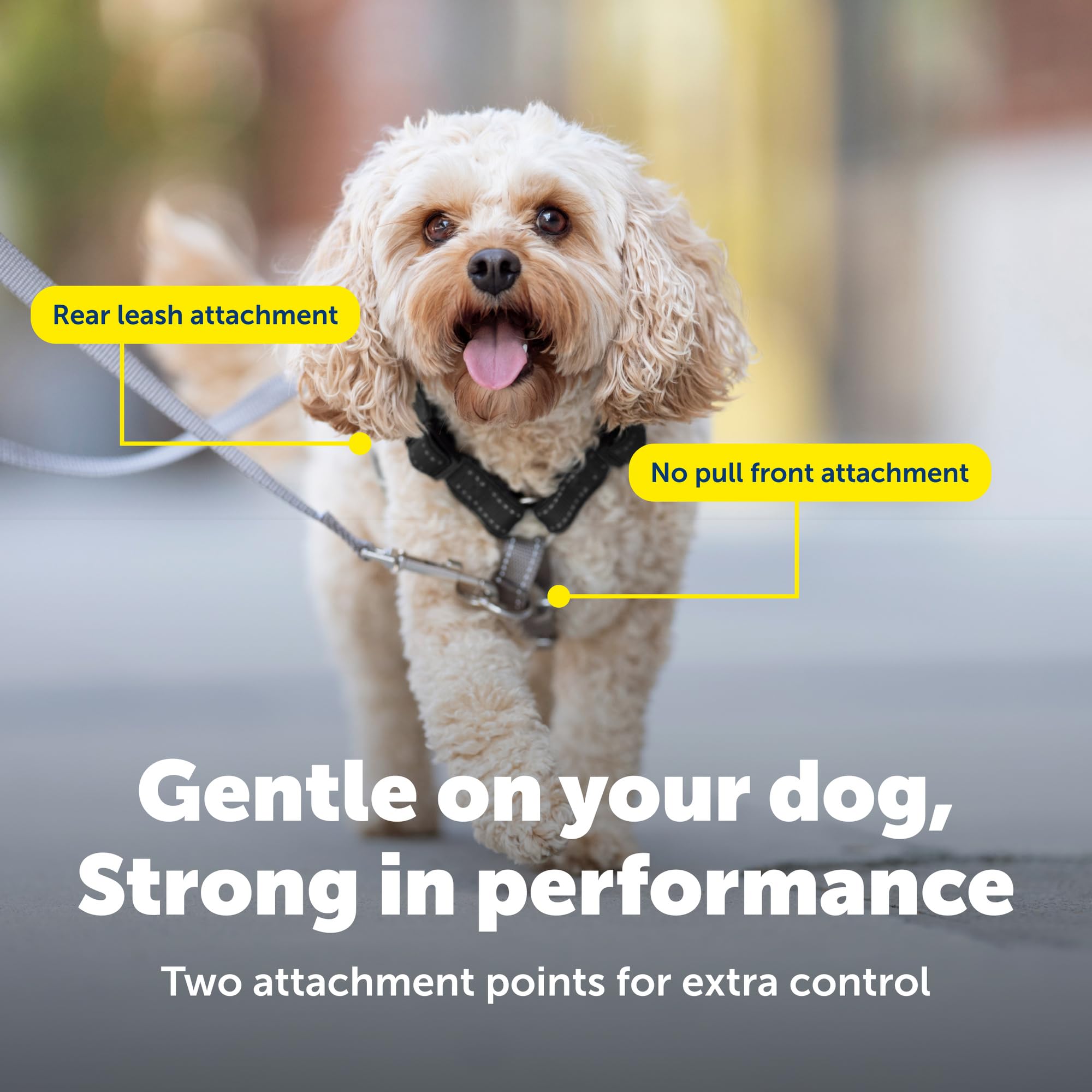 PetSafe Arnés 3 en 1 con Correa de Control de Dos Puntos, arnés antitirones, Grande, Negro