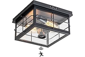 Flush Mount Outdoor Ceiling Light Dusk to Dawn
