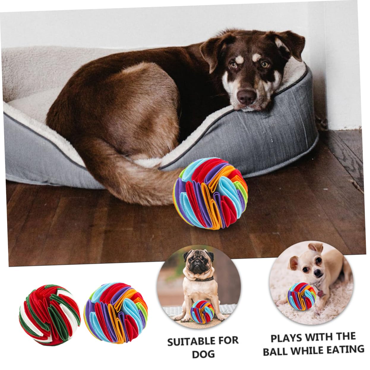 Kisangel 4stücke Interaktive Hundeschnüffelball Fördert Geruchssinn Langsames Fressen Attraktives Design Für Hunde Aller Farben